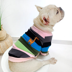 Keep Your Pet Stylish and Warm This Winter