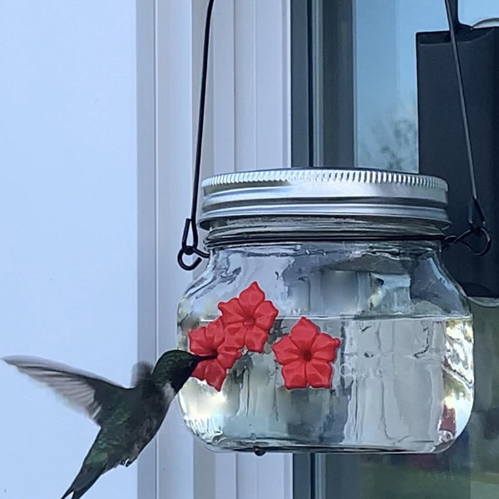 Attract Beautiful Hummingbirds to Your Garden with Our Flower Bird Feeder!