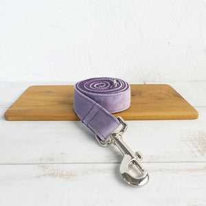 The Essential Collar and Leash for Your Beloved Pet