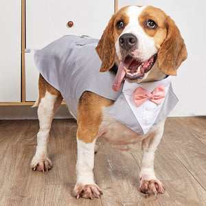 Dress Up Your Pup for Special Occasions