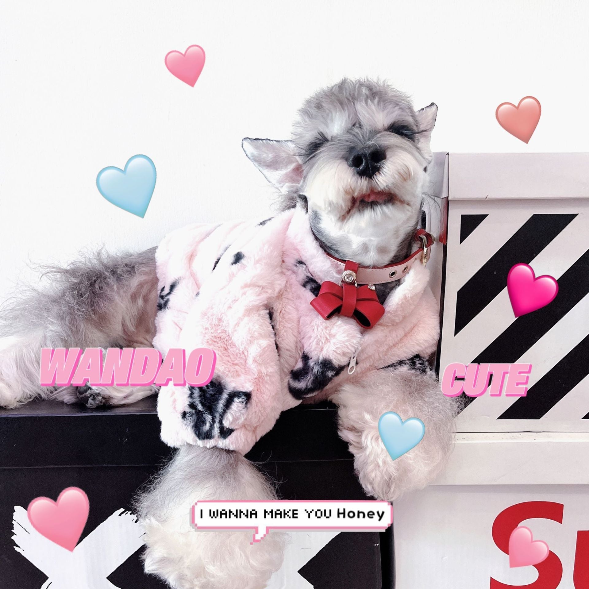 The Ultimate Cozy Experience for Your Furry Friend