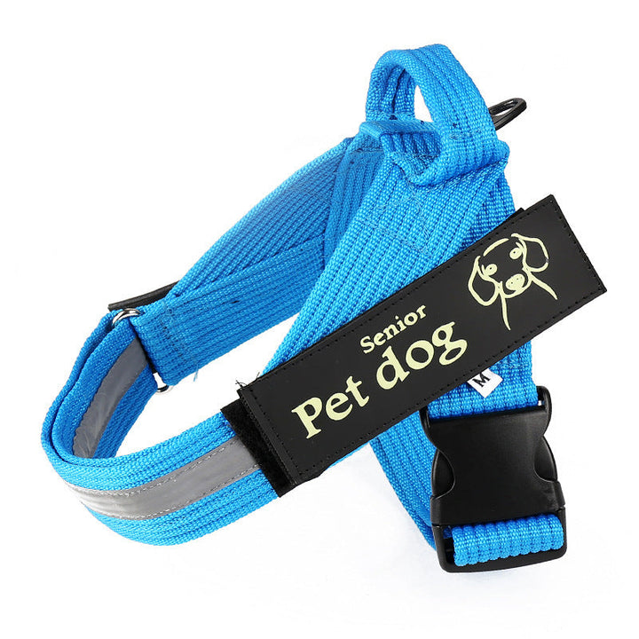 Unleash Adventure with the Ultimate Dog Walking Chain Leash