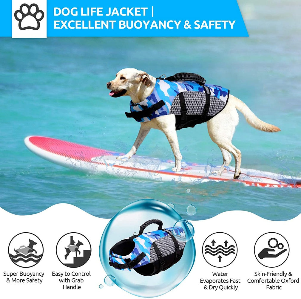 Make a Splash with Dog Training Swimwear