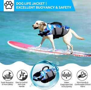 Make a Splash with Dog Training Swimwear