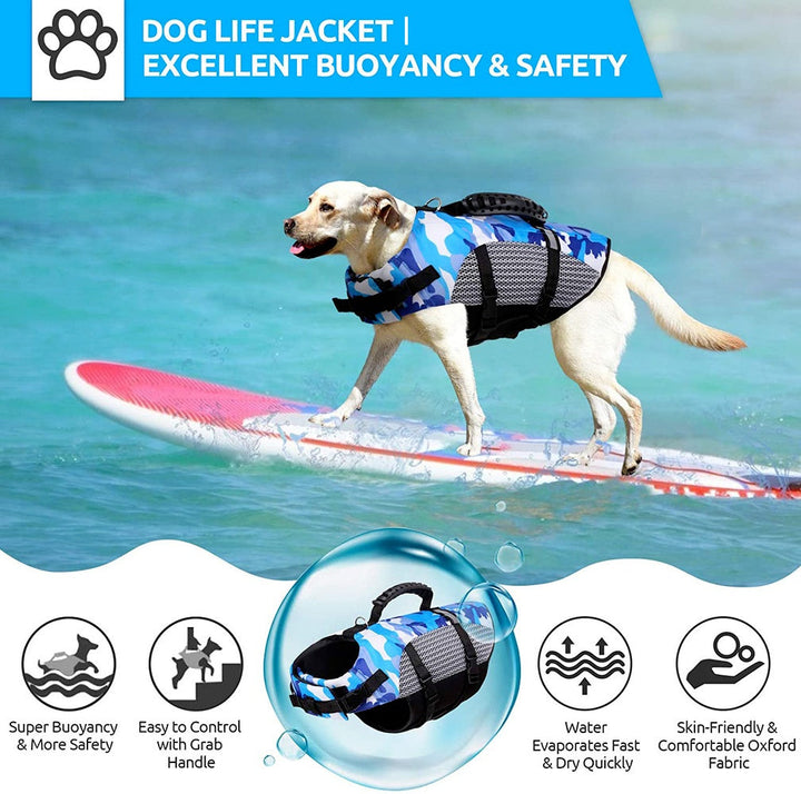 Make a Splash with Dog Training Swimwear