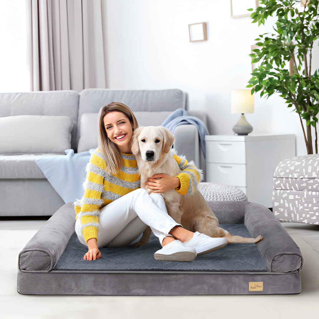 Creating Cozy Retreats With the Perfect Pet Bed