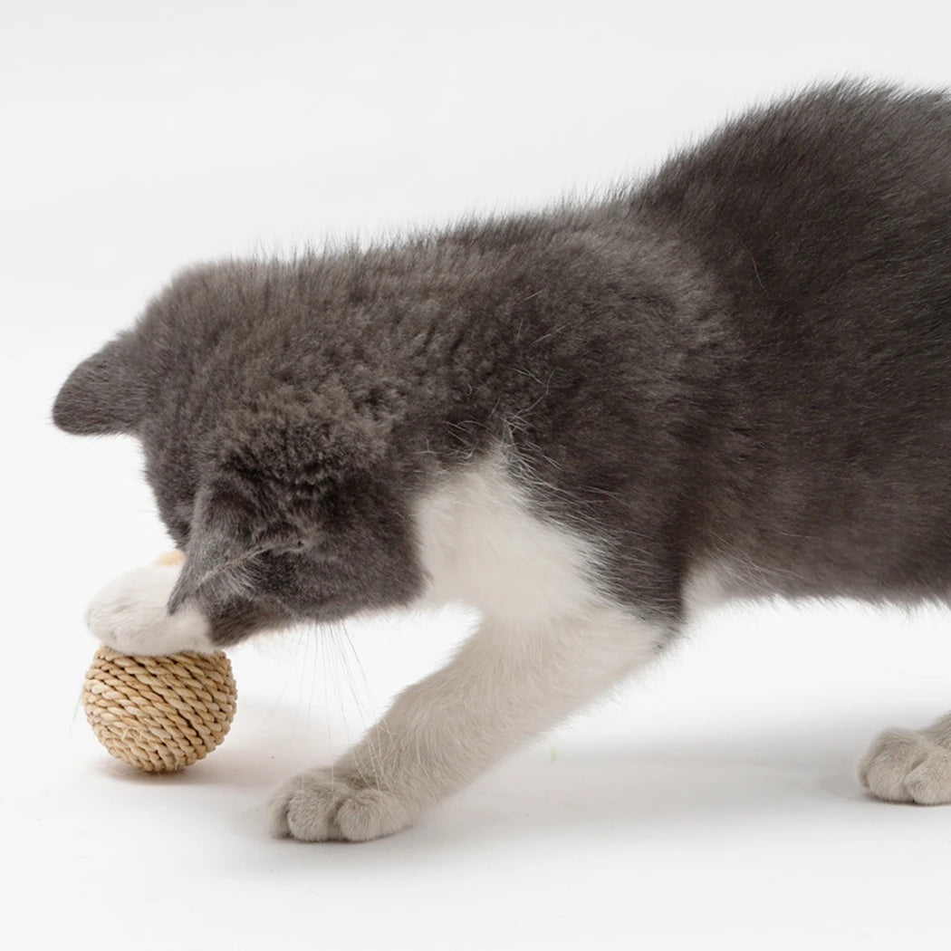 2pcs Cat Toy Pet Rattan Ball Cat Toy Funny Faux