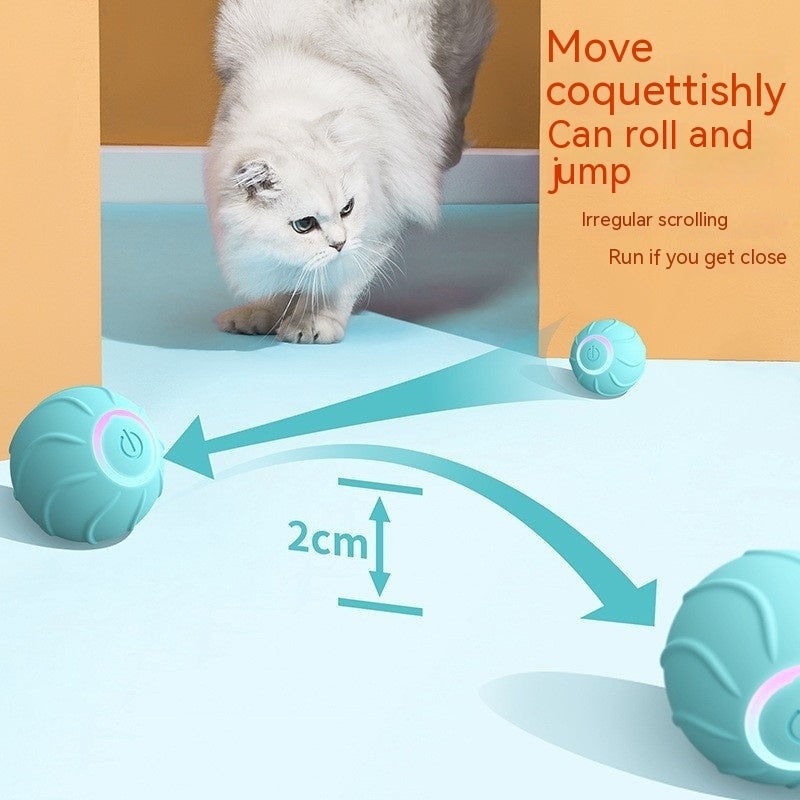 Smart Cat Toys Rolling Ball Pet Cat Owner