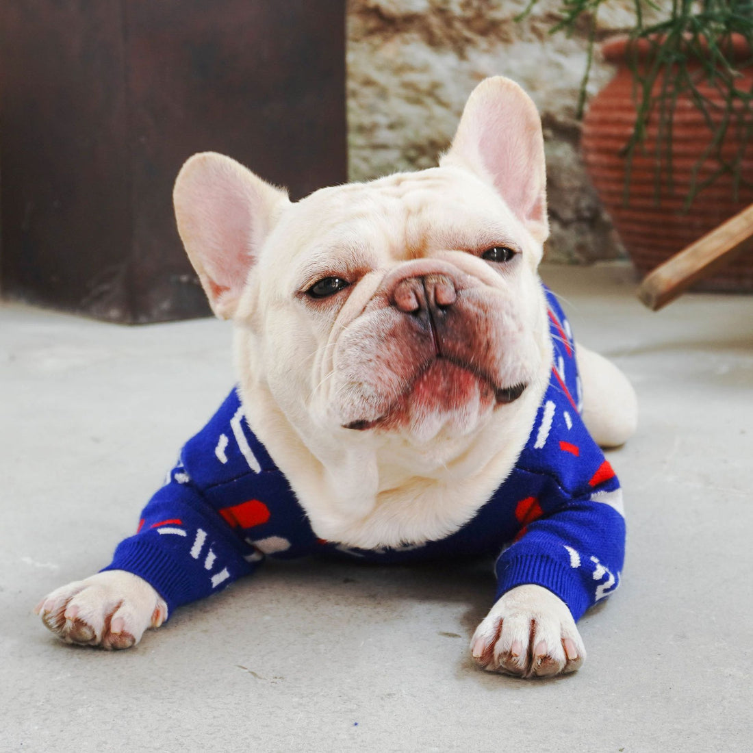 Pug Pet Sweater Dog Clothes