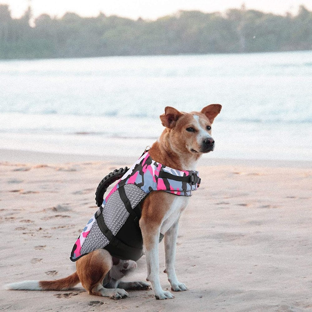 Dog Training Swimwear - Fashion Outdoor Swimming Clothing