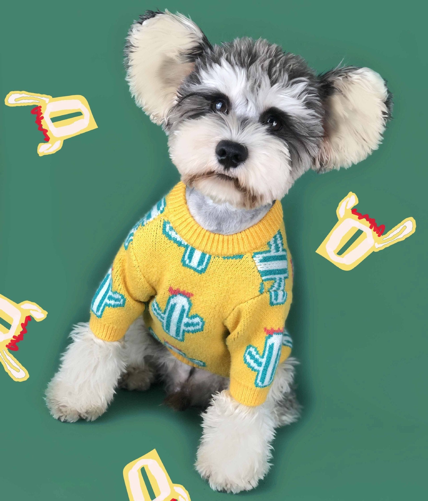Pet cactus sweater