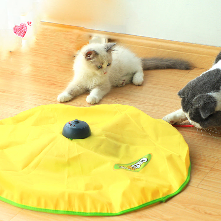 Cat Self-Hey Electric Toy