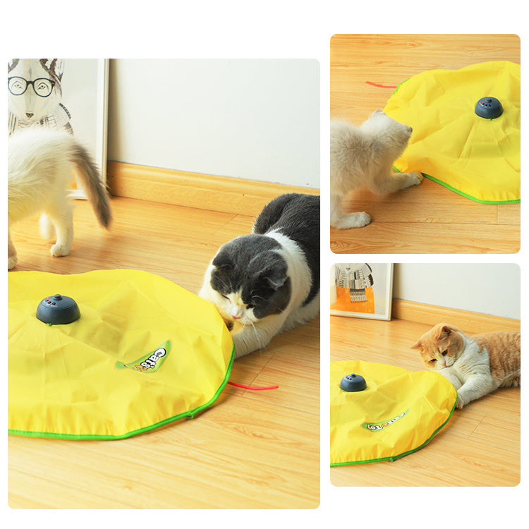 Cat Self-Hey Electric Toy