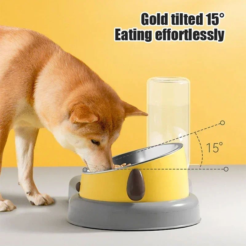 Pet Feeder Bowls Pet Feeder Water Bottle