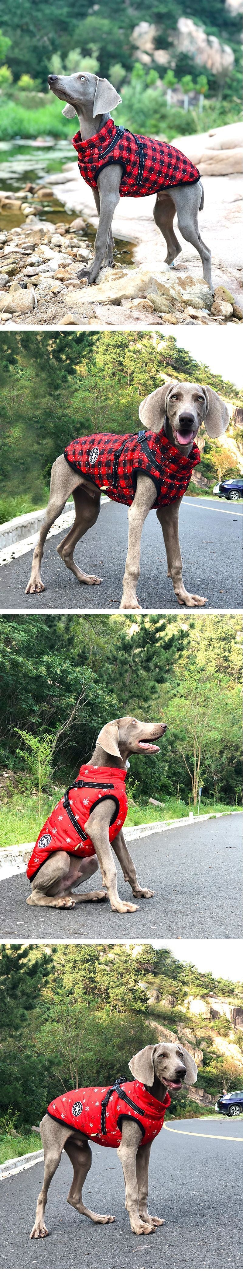 New Pet Reflective Cotton-padded Coat