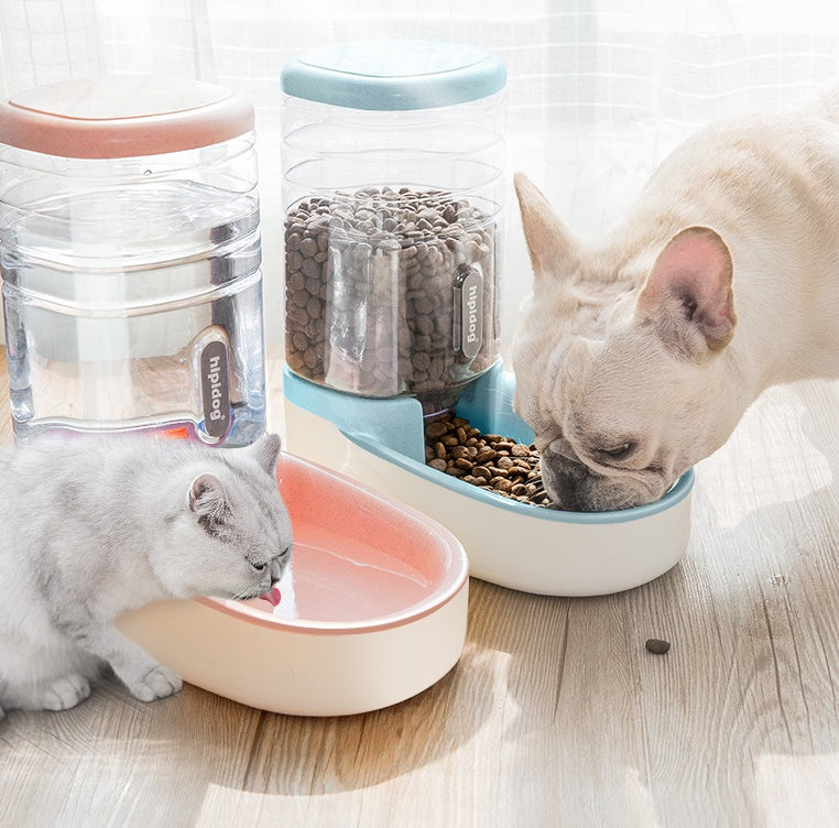 Pet dog automatic feeder microphone dog