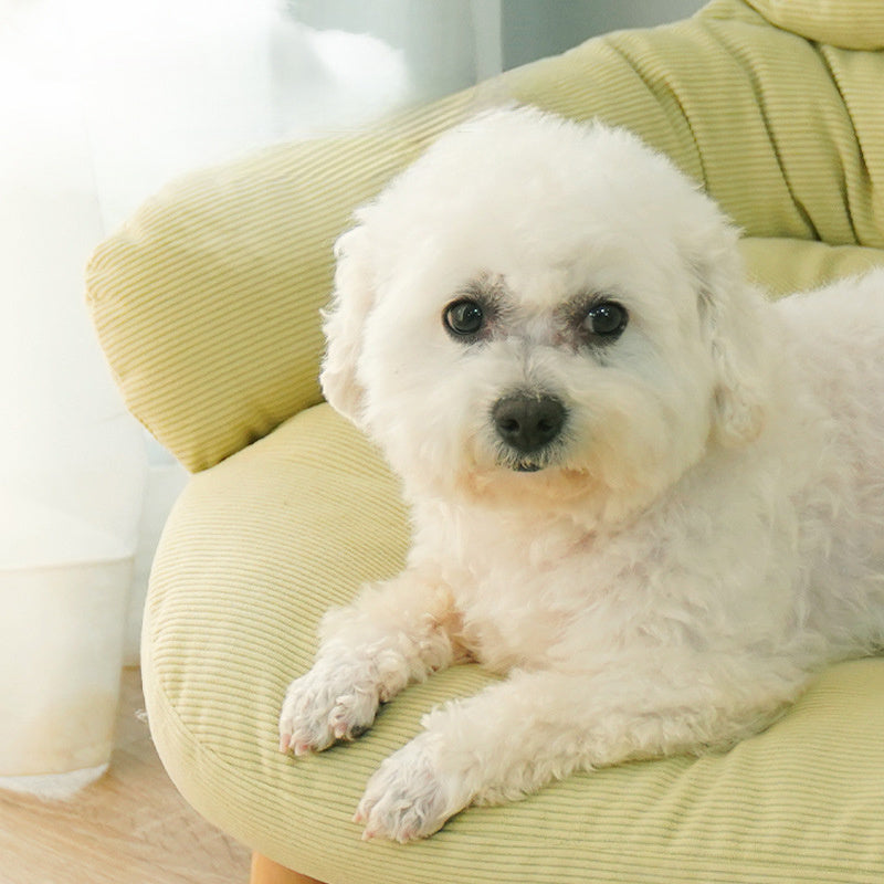 Elevated Wooden Cat Bed - Off-Ground Solid Wood Four Seasons Bed