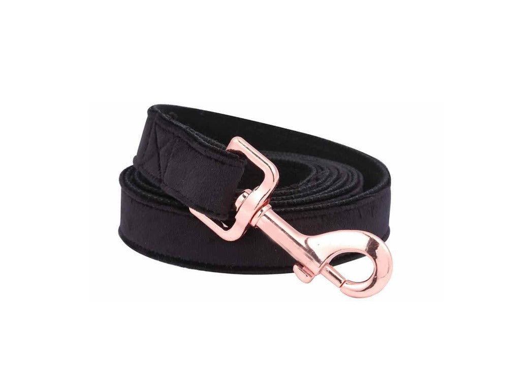 Unique Style Paws Christmas Black Soft Collar