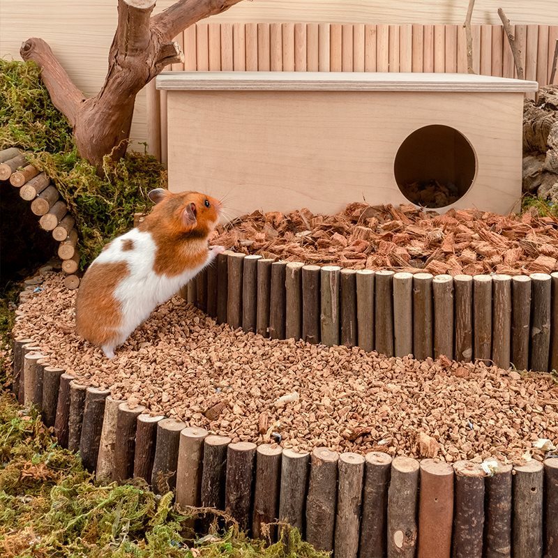 Oak Cork Hamster Bedding - Dust-Free Digging Substrate