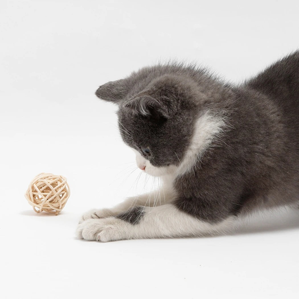 2pcs Cat Toy Pet Rattan Ball Cat Toy Funny Faux