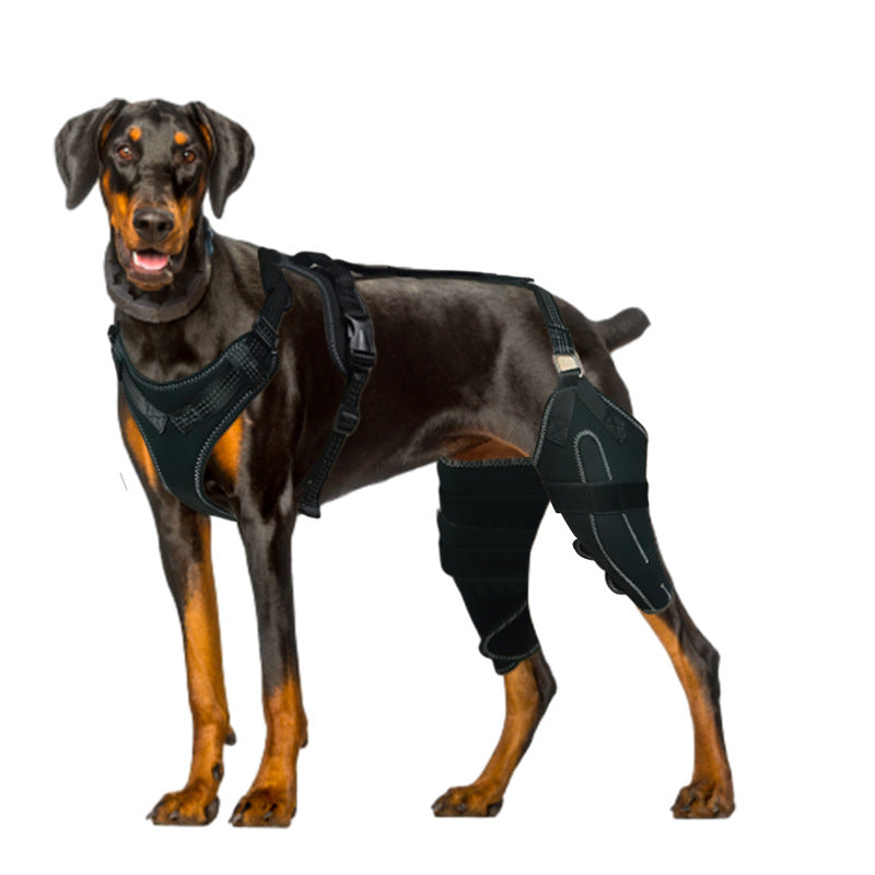 Pet Protective Gear Dog Thigh Protective
