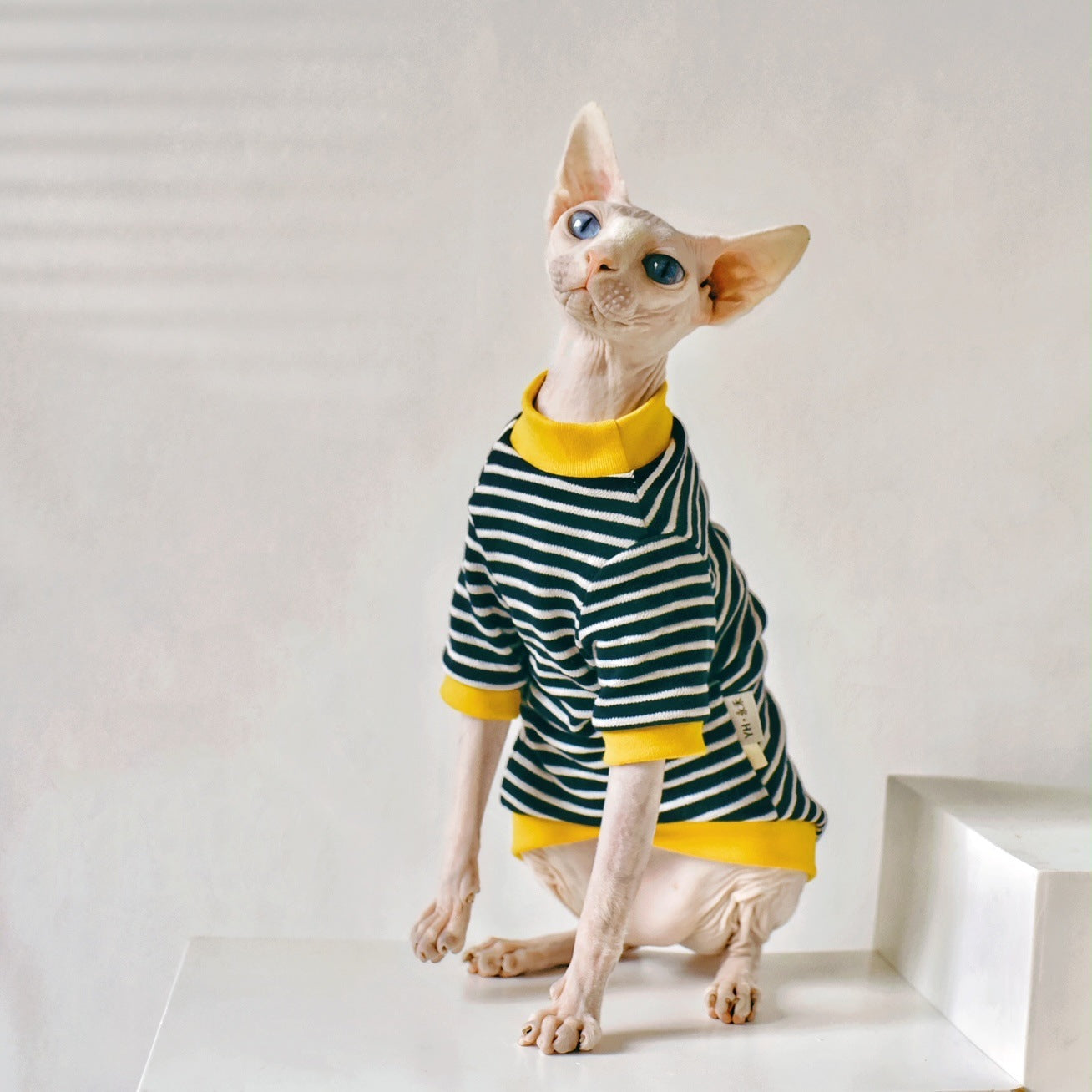 Fabric Sphinx Hairless Cat Clothing - Cotton Outfit for Hairless Cats