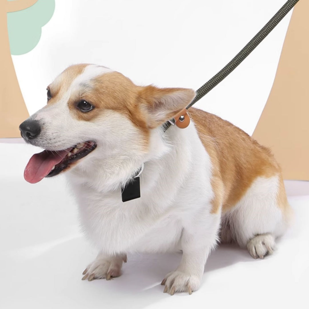 Explosion-proof Hand Holding Rope