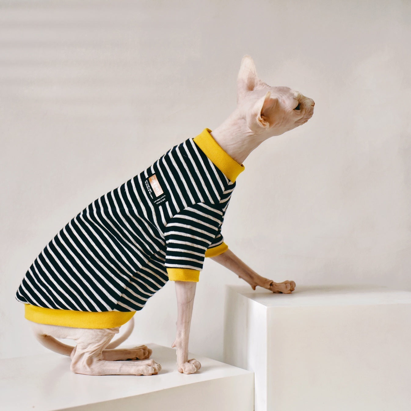 Fabric Sphinx Hairless Cat Clothing - Cotton Outfit for Hairless Cats
