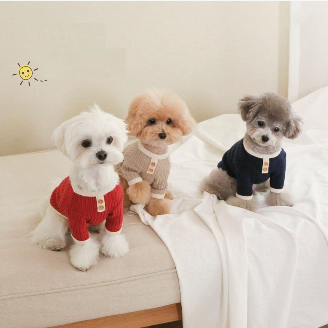 Casual Color Contrast Pet Clothing - Cat & Dog Outfit