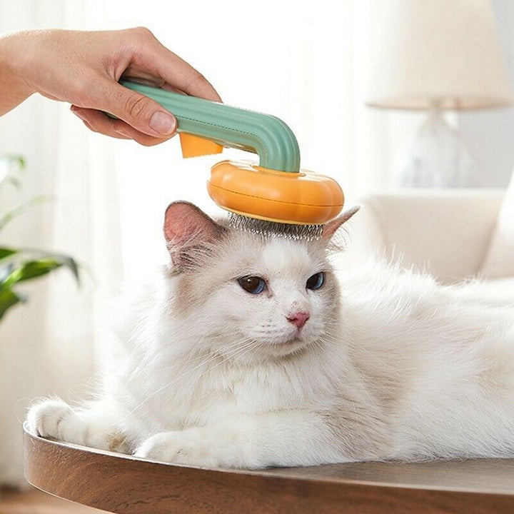 Pet Pumpkin Needle Comb