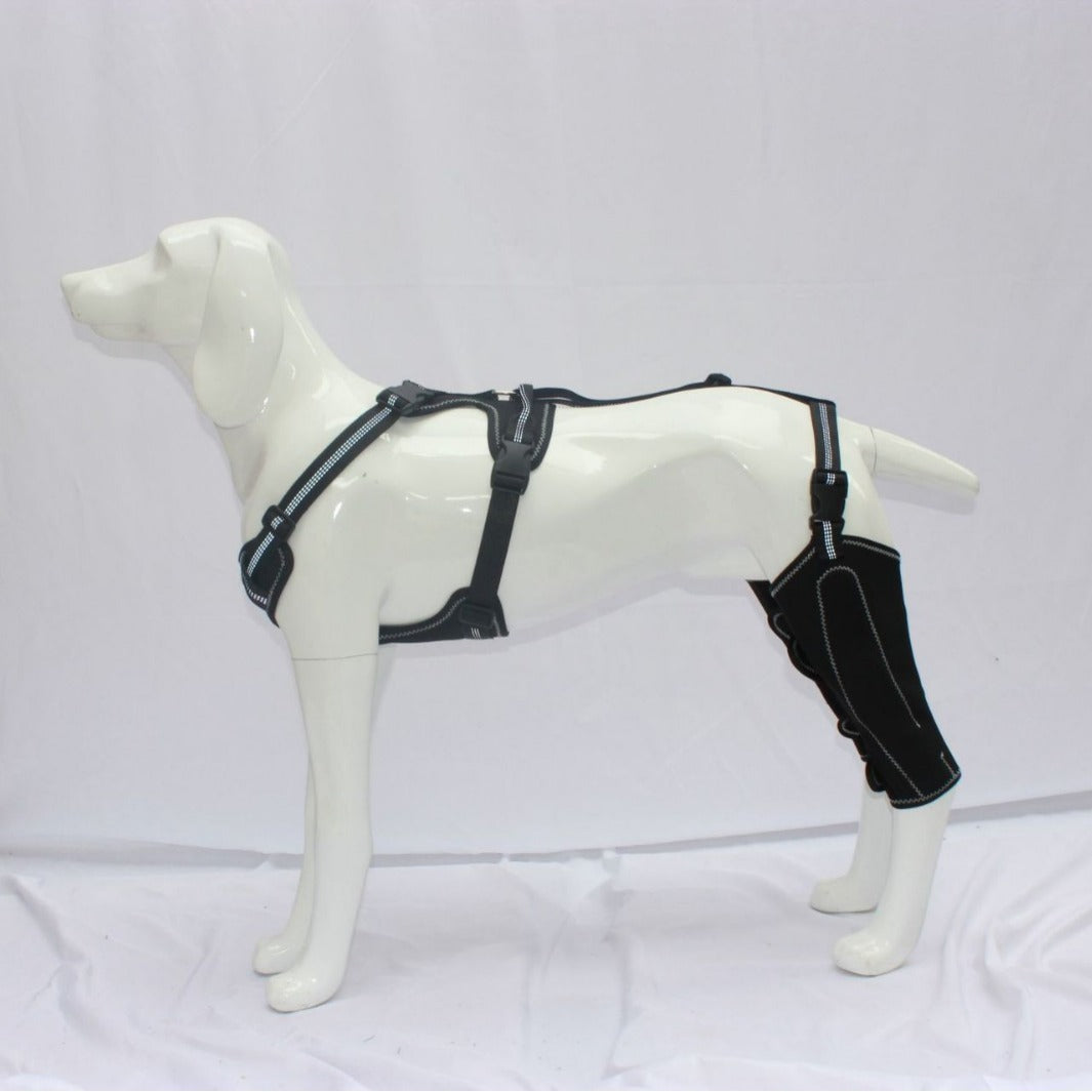 Dog Leg Brace - Adjustable Thigh Support with Metal Stabilizer