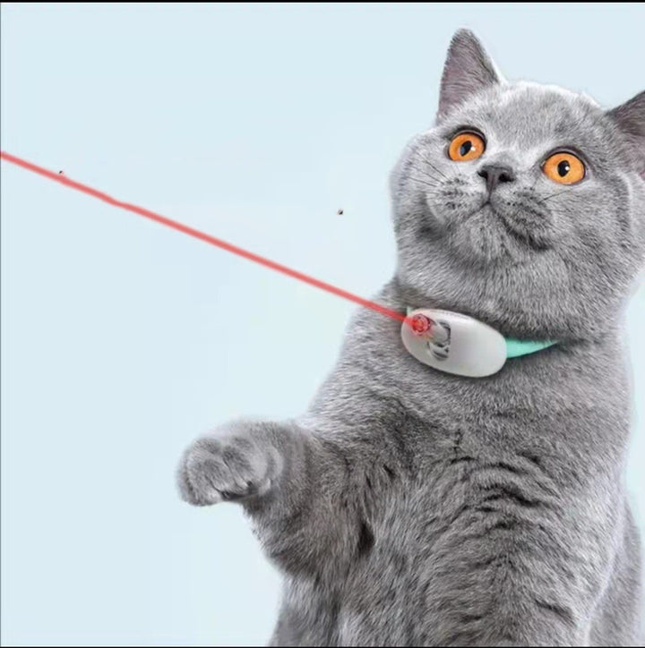 Automatic Cat Teaser Funny Pet Toy