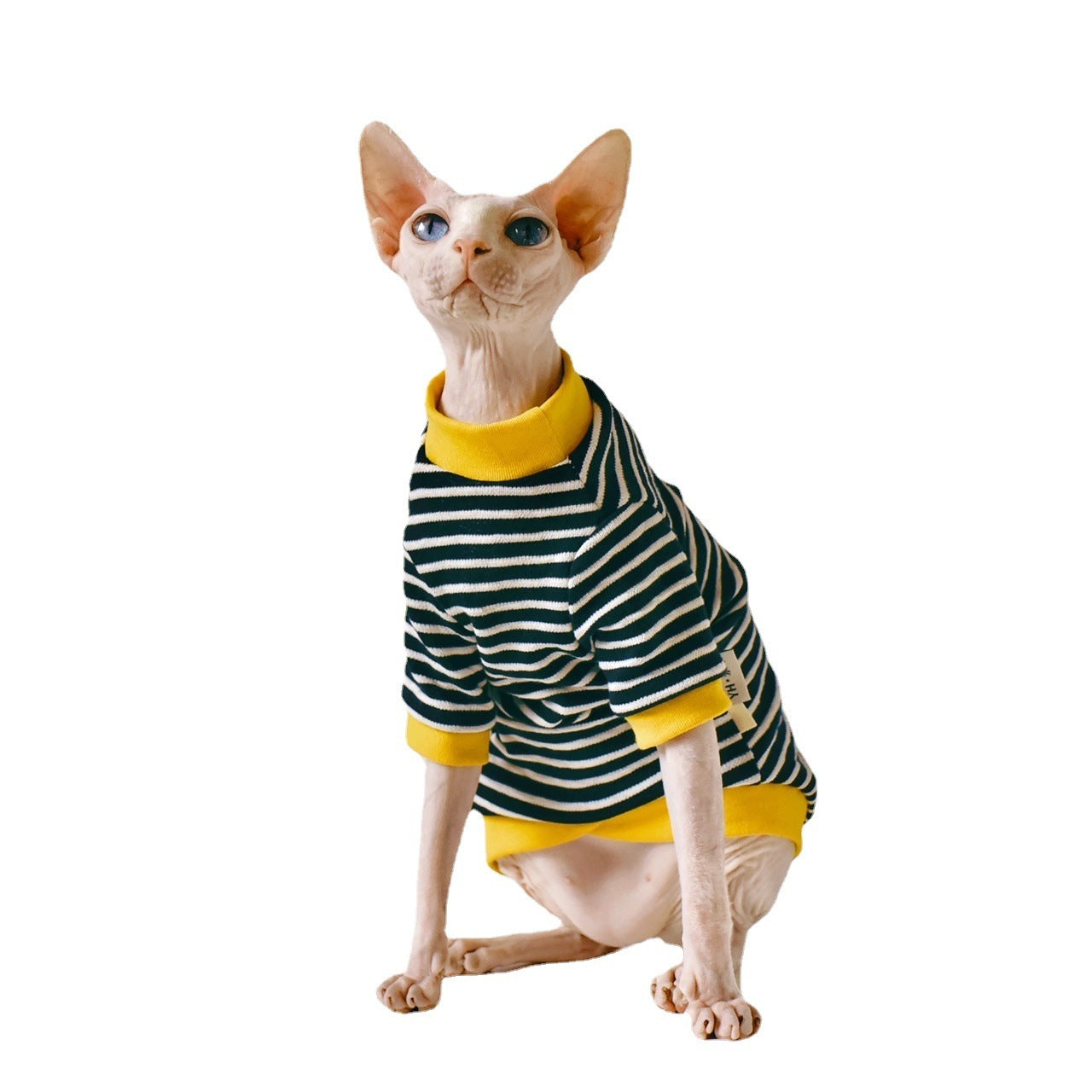 Fabric Sphinx Hairless Cat Clothing - Cotton Outfit for Hairless Cats