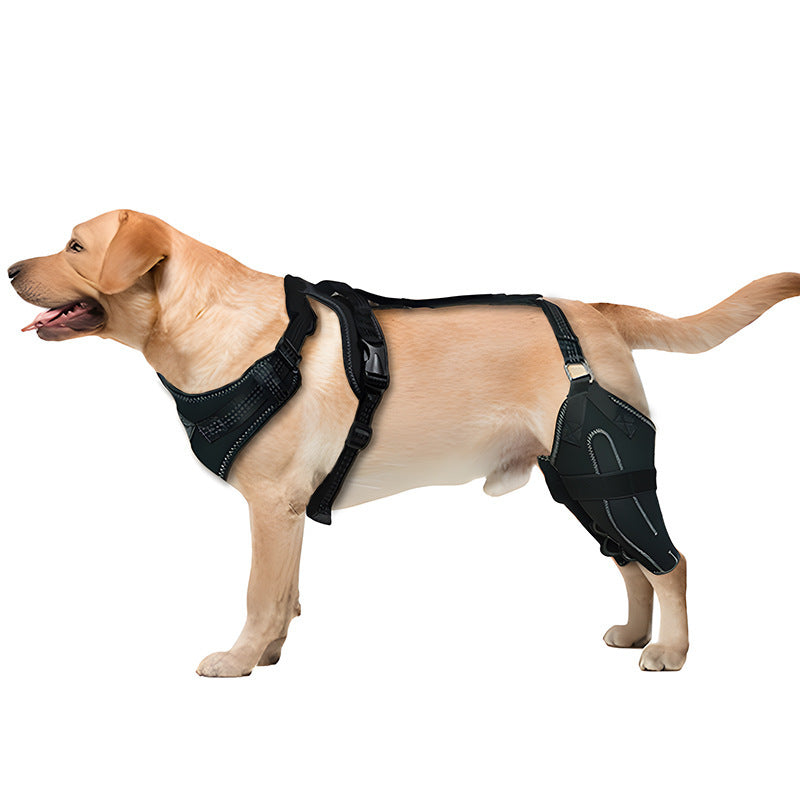 Dog Leg Brace - Adjustable Thigh Support with Metal Stabilizer
