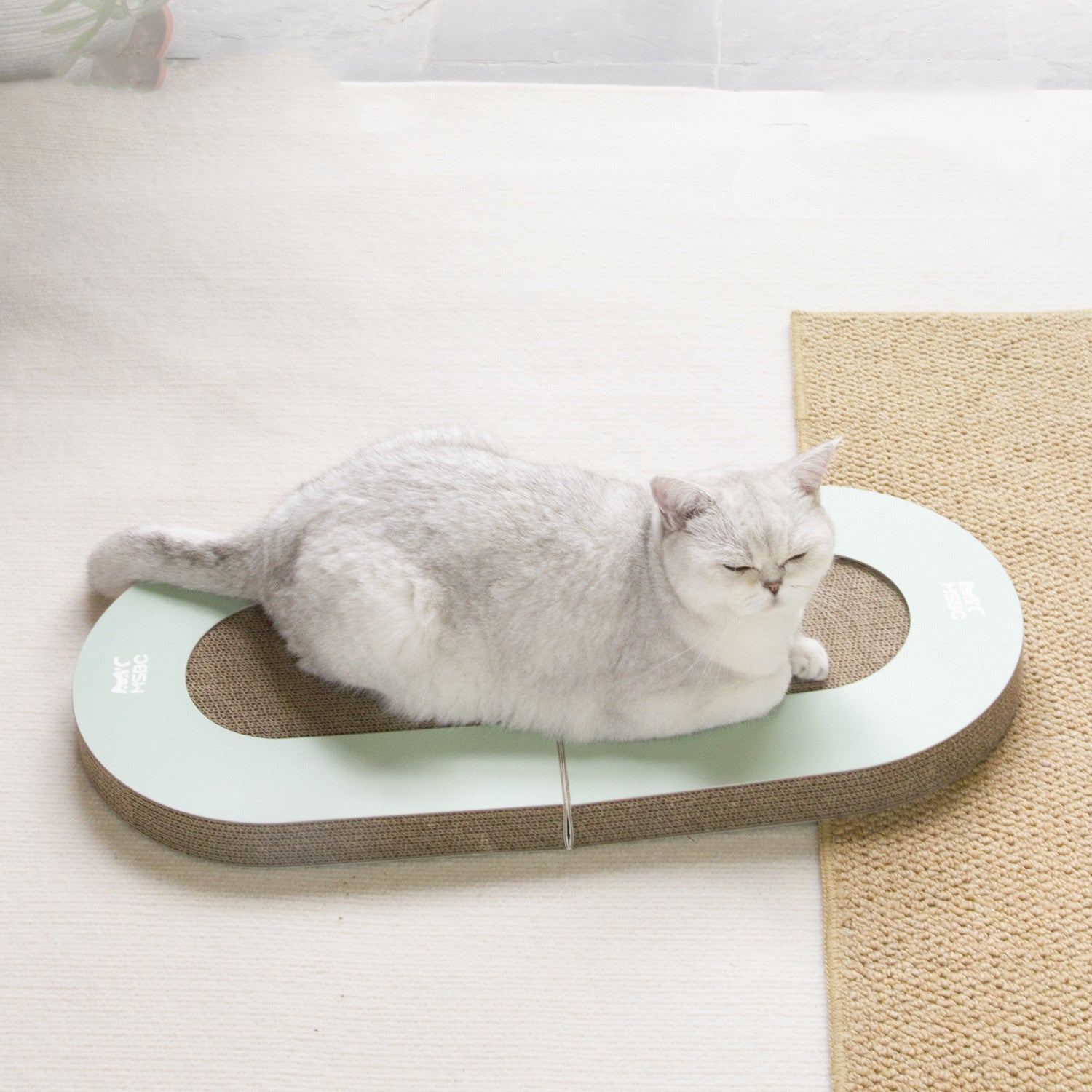 Corrugated Paper Folding Cat Grab Board With Ball