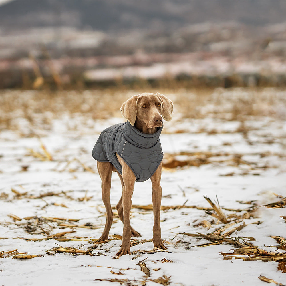 Winter Pet Clothing - Thickened Dog Coat for Cold Weather