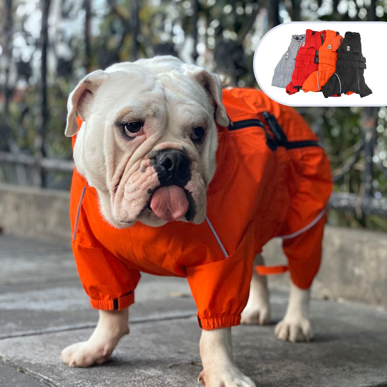 Four-Legged Dog Raincoat - Waterproof Outdoor Pet Clothing