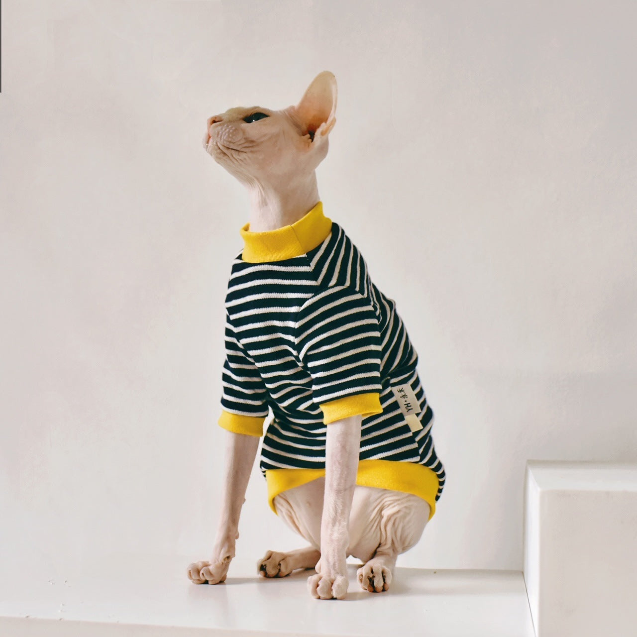 Fabric Sphinx Hairless Cat Clothing - Cotton Outfit for Hairless Cats