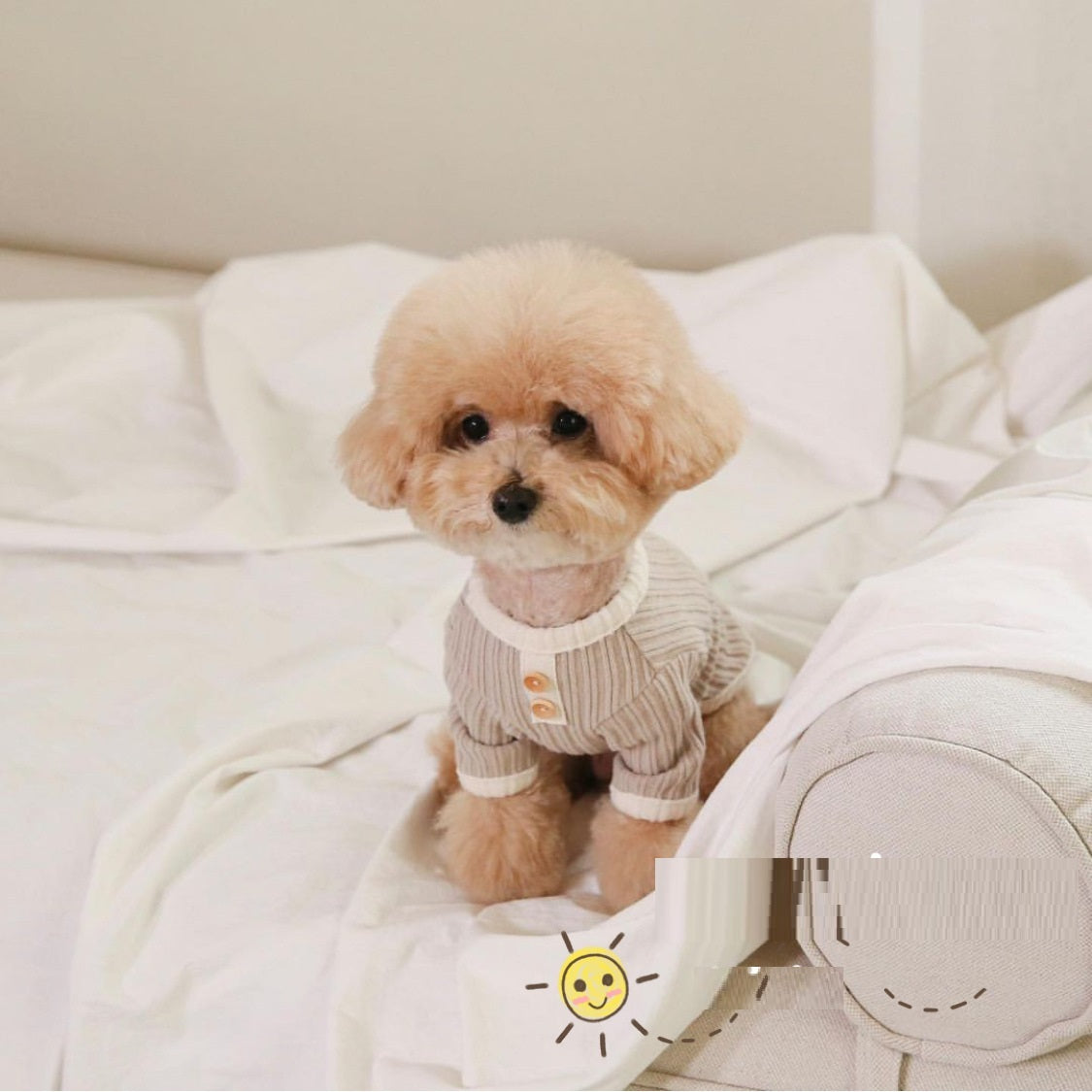 Casual Color Contrast Pet Clothing - Cat & Dog Outfit