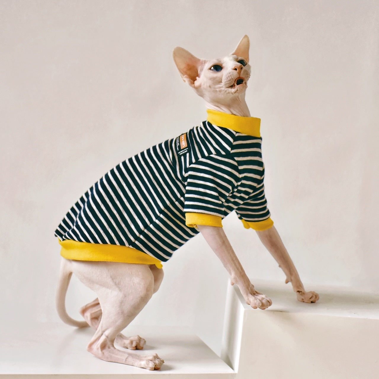 Fabric Sphinx Hairless Cat Clothing - Cotton Outfit for Hairless Cats