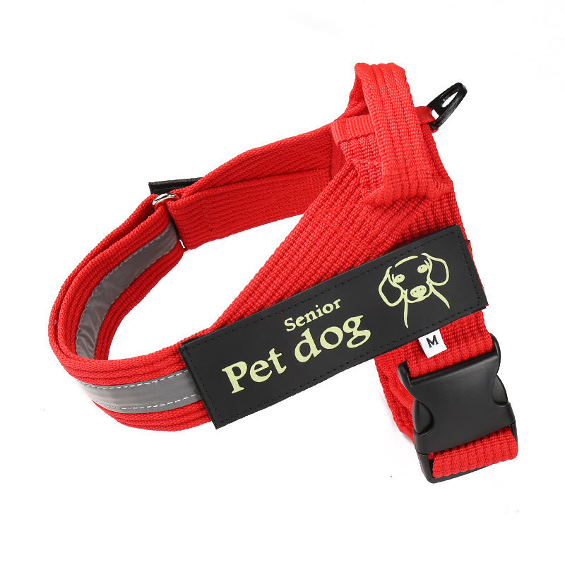 Dog Walking Chain Leash