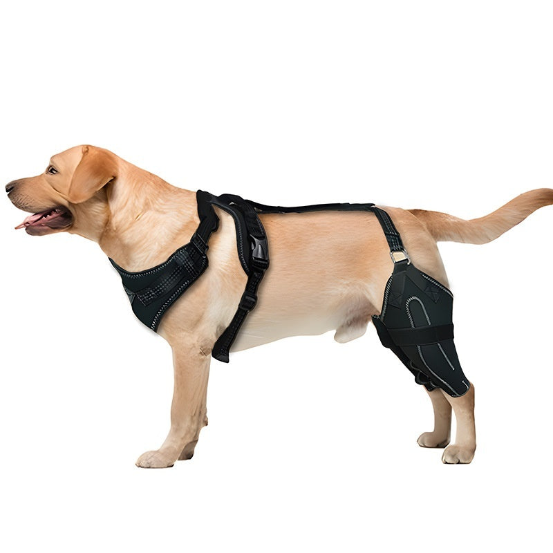 Dog Leg Brace - Adjustable Thigh Support with Metal Stabilizer