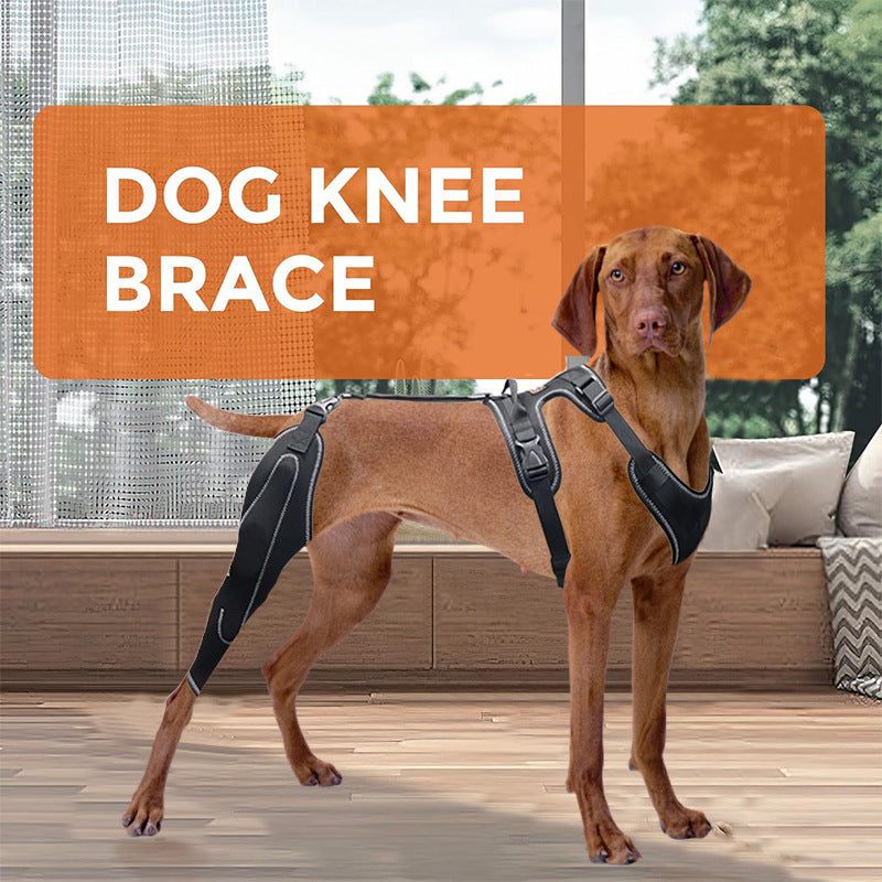 Dog Leg Brace - Adjustable Thigh Support with Metal Stabilizer