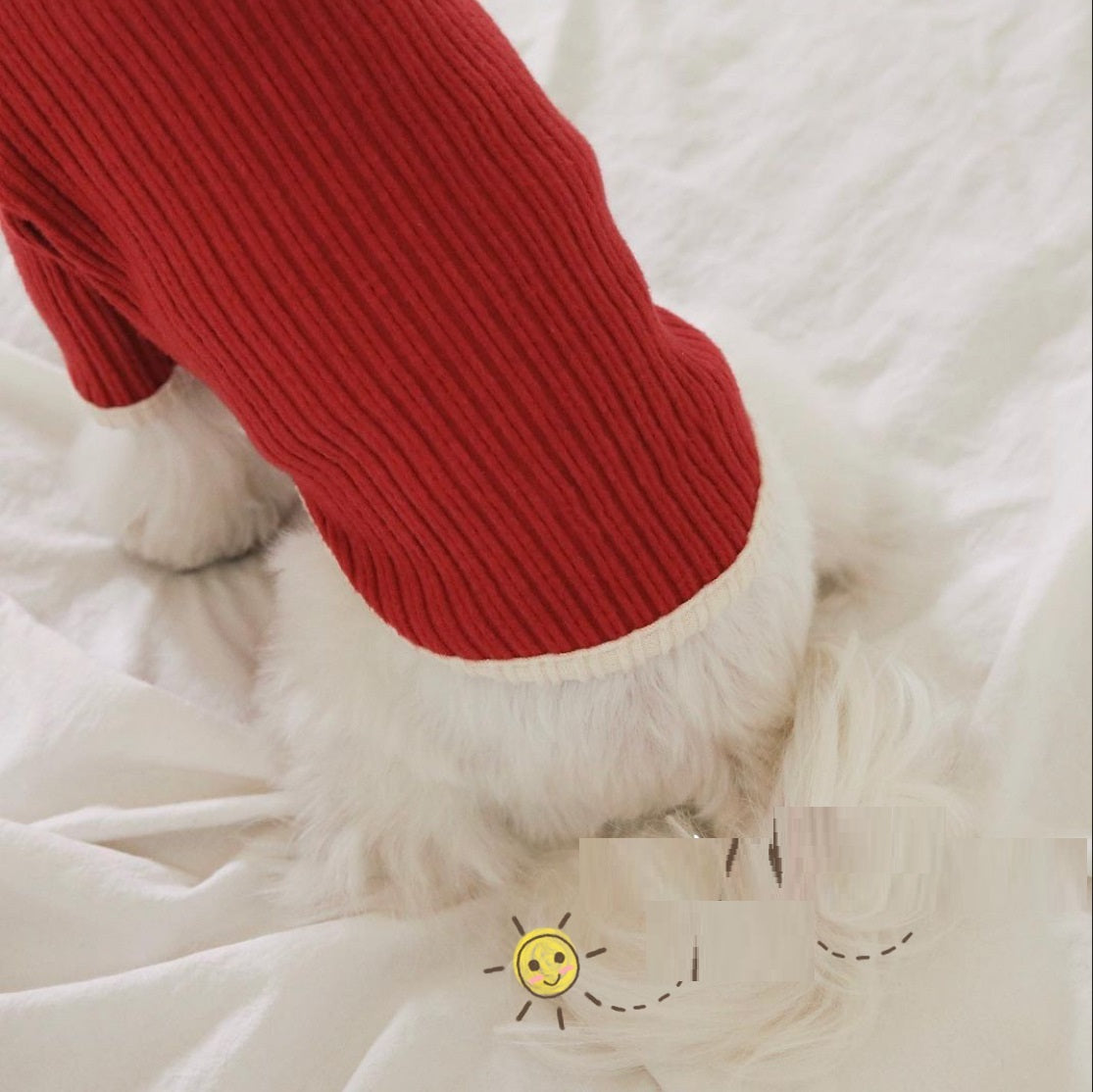 Casual Color Contrast Pet Clothing - Cat & Dog Outfit