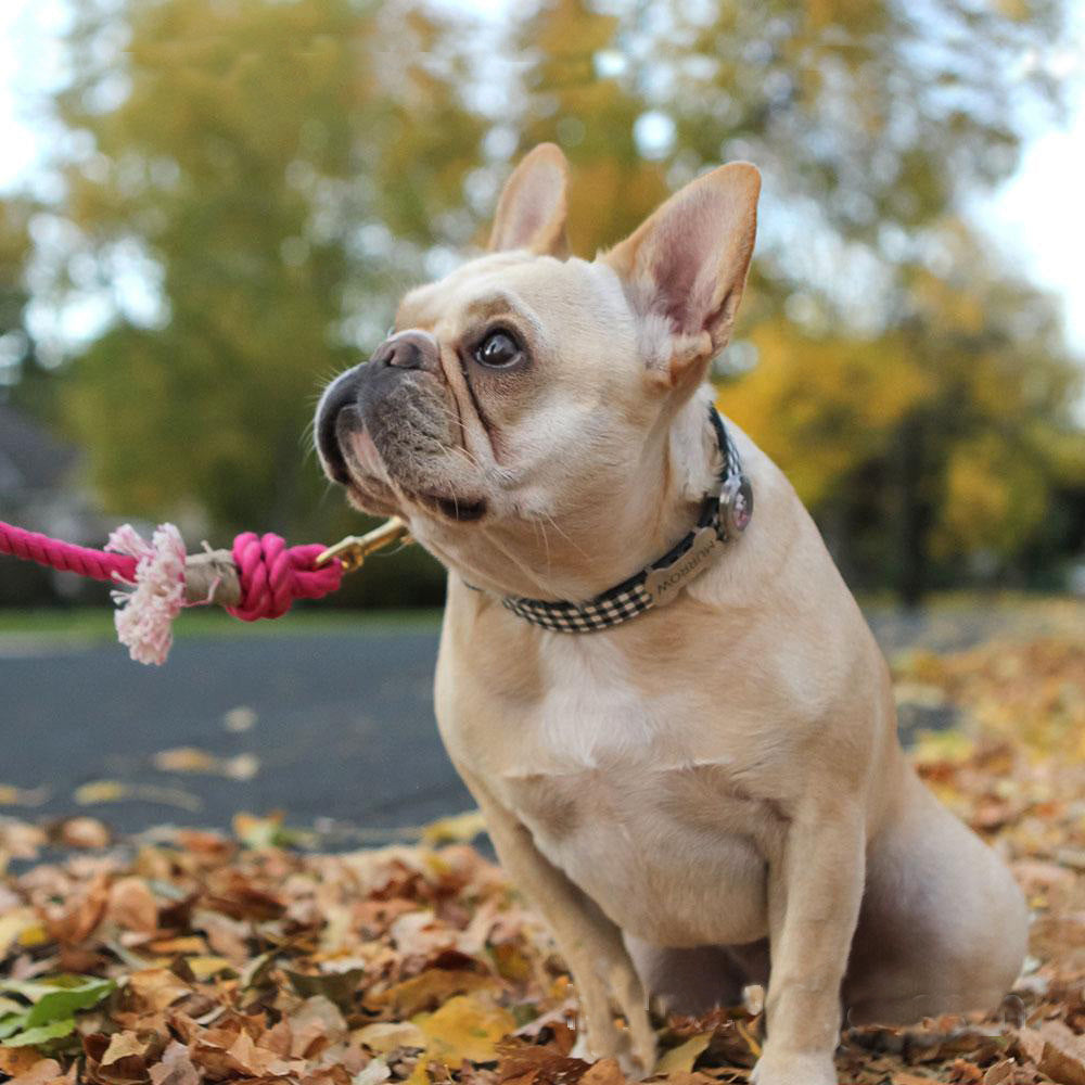 Hand Woven Gradual Pet Traction Rope