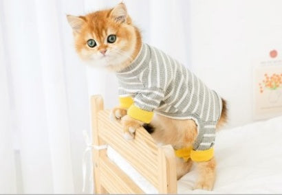 Anti-Hair Shed Cat Clothing - Four-Legged Outfit for Hairless Cats