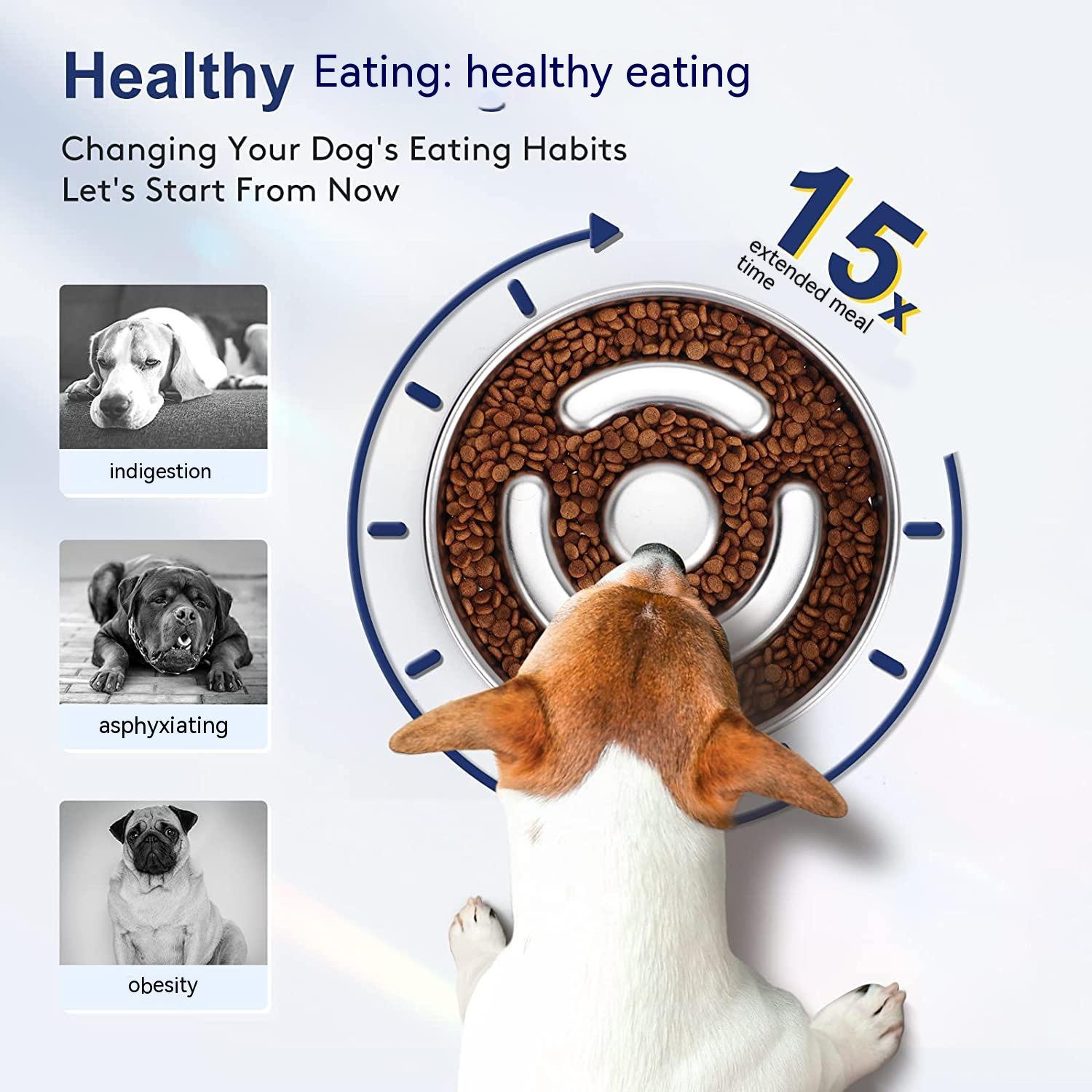 Pet Slow Feeding Bowl - Stainless Steel with Neck Protector