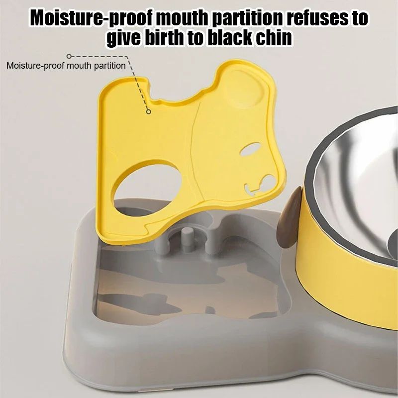 Pet Feeder Bowls Set with Water Bottle - 15° Tilted Design