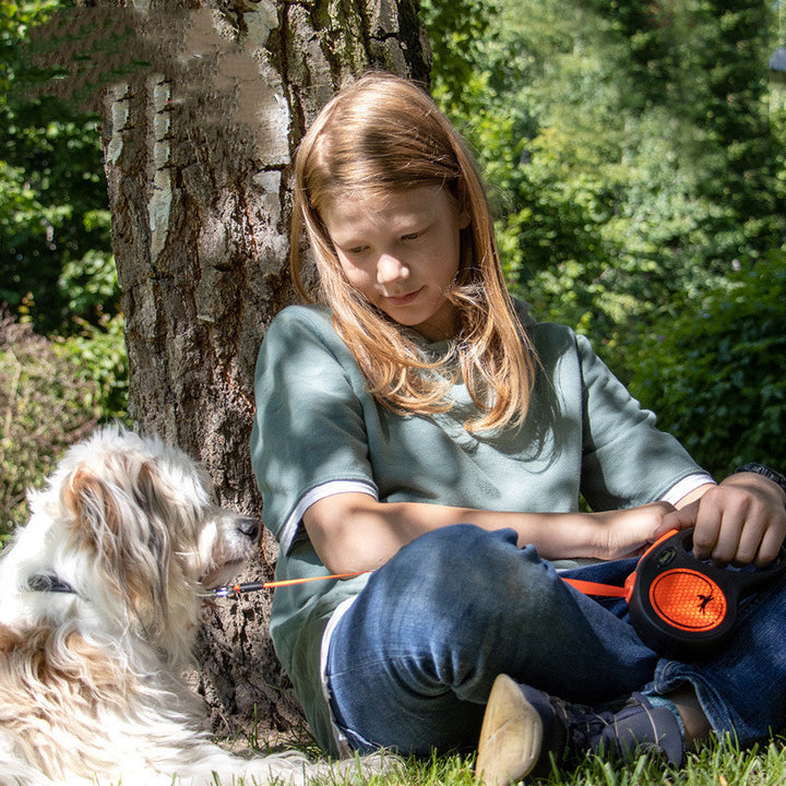 Orange Automatic Retractable Dog Walking Leash