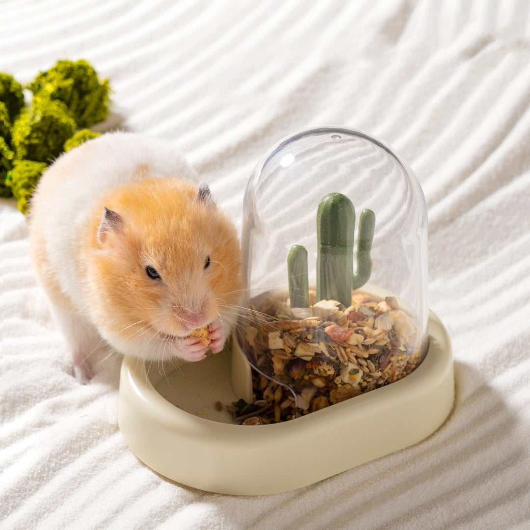 Hamster Cactus Automatic Feeder - Creative Food Dispenser